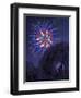 Viewing Fireworks-April Hartmann-Framed Giclee Print