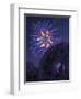 Viewing Fireworks-April Hartmann-Framed Giclee Print