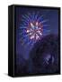 Viewing Fireworks-April Hartmann-Framed Stretched Canvas
