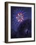 Viewing Fireworks-April Hartmann-Framed Giclee Print