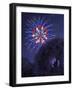 Viewing Fireworks-April Hartmann-Framed Giclee Print