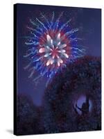 Viewing Fireworks-April Hartmann-Stretched Canvas