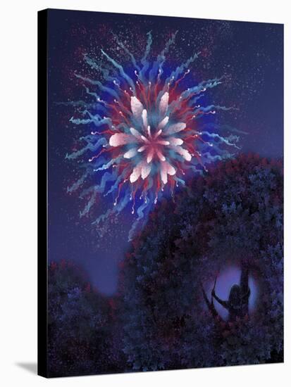 Viewing Fireworks-April Hartmann-Stretched Canvas