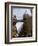 Viewing Platform and Walkway, Aiguille Du Midi, Chamonix-Mont-Blanc, French Alps, France, Europe-Richardson Peter-Framed Photographic Print