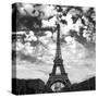 Viewing the Eiffel-David Innes-Stretched Canvas