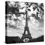 Viewing the Eiffel-David Innes-Stretched Canvas