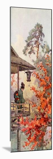 Viewing the Maples-Ella Du Cane-Mounted Giclee Print