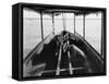 Viewing the Marine Gardens Through Bottom of Boat, Nassau, Bahamas, 1900-William Henry Jackson-Framed Stretched Canvas