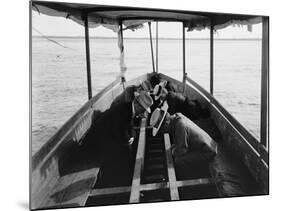 Viewing the Marine Gardens Through Bottom of Boat, Nassau, Bahamas, 1900-William Henry Jackson-Mounted Photographic Print