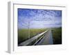 Viewing Walkway, Everglades National Park, Florida, United States of America, North America-Nigel Francis-Framed Photographic Print