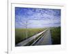 Viewing Walkway, Everglades National Park, Florida, United States of America, North America-Nigel Francis-Framed Photographic Print