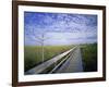 Viewing Walkway, Everglades National Park, Florida, United States of America, North America-Nigel Francis-Framed Photographic Print