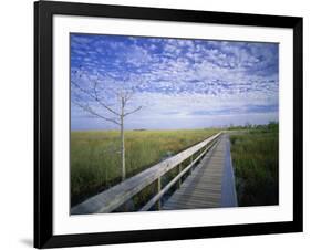 Viewing Walkway, Everglades National Park, Florida, United States of America, North America-Nigel Francis-Framed Photographic Print