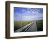 Viewing Walkway, Everglades National Park, Florida, United States of America, North America-Nigel Francis-Framed Photographic Print