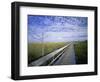 Viewing Walkway, Everglades National Park, Florida, United States of America, North America-Nigel Francis-Framed Photographic Print