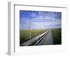 Viewing Walkway, Everglades National Park, Florida, United States of America, North America-Nigel Francis-Framed Photographic Print