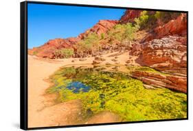 Viewpoint between Pound Walk and Ghost Gum Walk with rocky cliffs of Ormiston Gorge-Alberto Mazza-Framed Stretched Canvas