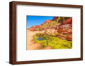 Viewpoint between Pound Walk and Ghost Gum Walk with rocky cliffs of Ormiston Gorge-Alberto Mazza-Framed Photographic Print