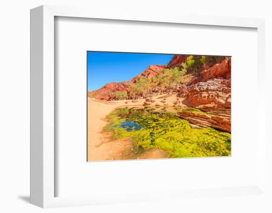 Viewpoint between Pound Walk and Ghost Gum Walk with rocky cliffs of Ormiston Gorge-Alberto Mazza-Framed Photographic Print