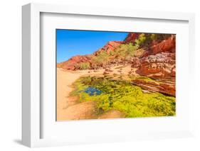 Viewpoint between Pound Walk and Ghost Gum Walk with rocky cliffs of Ormiston Gorge-Alberto Mazza-Framed Photographic Print