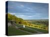 Viewpoint on Box Hill, 2012 Olympics Cycling Road Race Venue, View South over Brockham, Near Dorkin-John Miller-Stretched Canvas