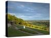 Viewpoint on Box Hill, 2012 Olympics Cycling Road Race Venue, View South over Brockham, Near Dorkin-John Miller-Stretched Canvas