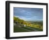 Viewpoint on Box Hill, 2012 Olympics Cycling Road Race Venue, View South over Brockham, Near Dorkin-John Miller-Framed Photographic Print