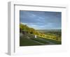 Viewpoint on Box Hill, 2012 Olympics Cycling Road Race Venue, View South over Brockham, Near Dorkin-John Miller-Framed Photographic Print