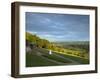 Viewpoint on Box Hill, 2012 Olympics Cycling Road Race Venue, View South over Brockham, Near Dorkin-John Miller-Framed Photographic Print