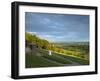 Viewpoint on Box Hill, 2012 Olympics Cycling Road Race Venue, View South over Brockham, Near Dorkin-John Miller-Framed Photographic Print