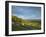 Viewpoint on Box Hill, 2012 Olympics Cycling Road Race Venue, View South over Brockham, Near Dorkin-John Miller-Framed Photographic Print