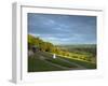 Viewpoint on Box Hill, 2012 Olympics Cycling Road Race Venue, View South over Brockham, Near Dorkin-John Miller-Framed Photographic Print