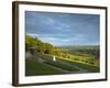 Viewpoint on Box Hill, 2012 Olympics Cycling Road Race Venue, View South over Brockham, Near Dorkin-John Miller-Framed Photographic Print