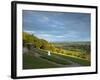 Viewpoint on Box Hill, 2012 Olympics Cycling Road Race Venue, View South over Brockham, Near Dorkin-John Miller-Framed Photographic Print