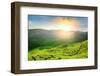 Viewpoint on the Top of Cameron Highland, Tea Valley and Sunrise in Malaysia-anekoho-Framed Photographic Print