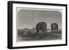 Views in China, Tombs of the Emperors of the Ming Dynasty, at Nankin-null-Framed Giclee Print