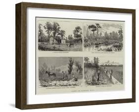 Views in Florida, Usa-null-Framed Giclee Print