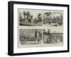 Views in Florida, Usa-null-Framed Giclee Print