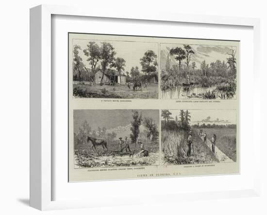 Views in Florida, Usa-null-Framed Giclee Print