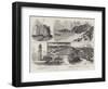 Views in Lundy Island, Bristol Channel-null-Framed Giclee Print
