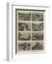 Views in Minnesota, Usa-William Henry James Boot-Framed Premium Giclee Print