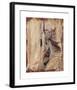 Views of a Venetian Canal-Giovanni Boldini-Framed Premium Giclee Print