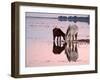 Views of Andalusia, Spain-Felipe Rodriguez-Framed Photographic Print