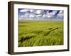 Views of Andalusia, Spain-Felipe Rodriguez-Framed Photographic Print