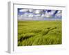 Views of Andalusia, Spain-Felipe Rodriguez-Framed Photographic Print