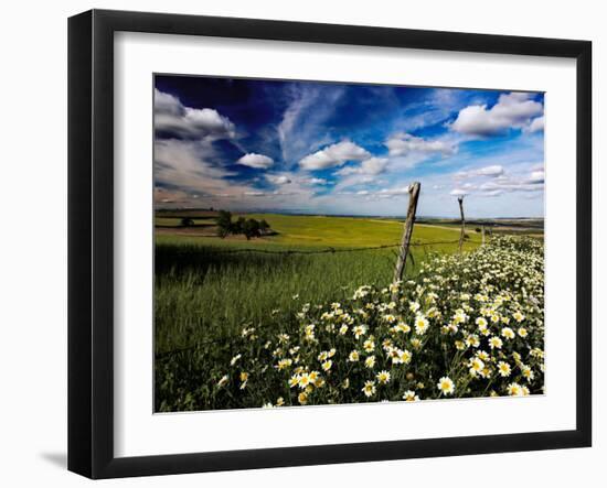 Views of Andalusia, Spain-Felipe Rodriguez-Framed Photographic Print