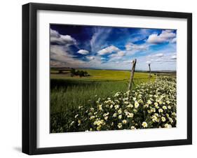 Views of Andalusia, Spain-Felipe Rodriguez-Framed Photographic Print