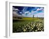 Views of Andalusia, Spain-Felipe Rodriguez-Framed Photographic Print