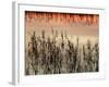 Views of Andalusia, Spain-Felipe Rodriguez-Framed Photographic Print