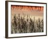 Views of Andalusia, Spain-Felipe Rodriguez-Framed Photographic Print